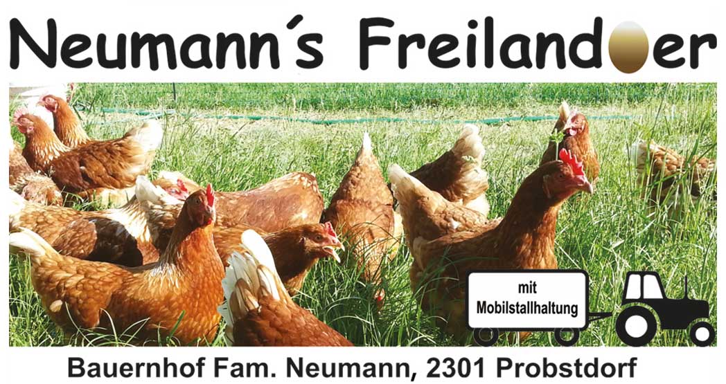 Neumann's Freilandeier - Kulturpionier & Sponsor KU.BA im Marchfeld